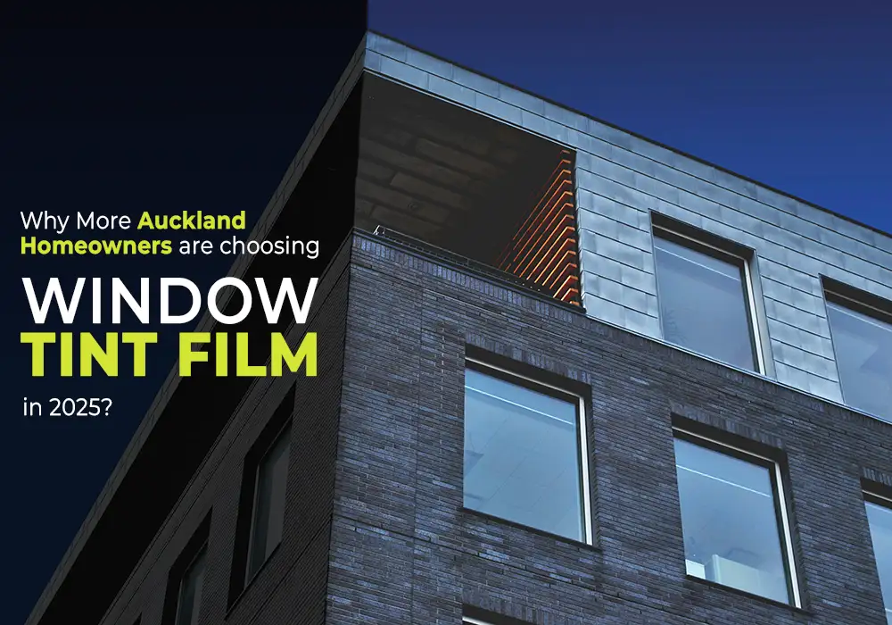 Why More Auckland Homeowners Are Choosing Window Tint Film in 2025?