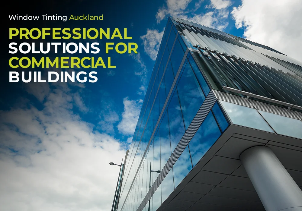 Window Tinting Auckland Professional Solutions for Commercial Buildings